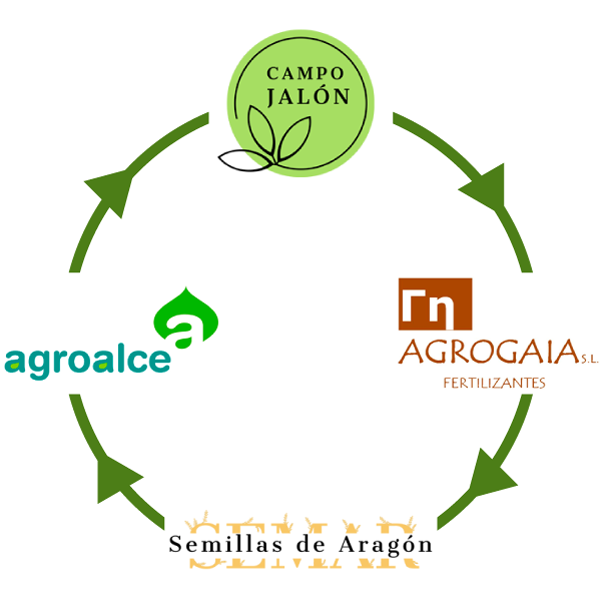 Grupo AACS, esquema logotipos