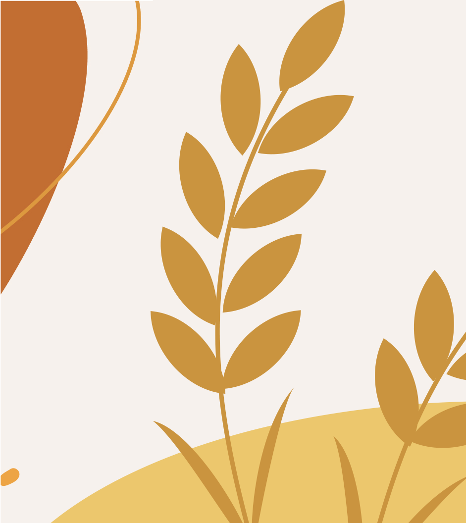 Fondo ilustración espigas