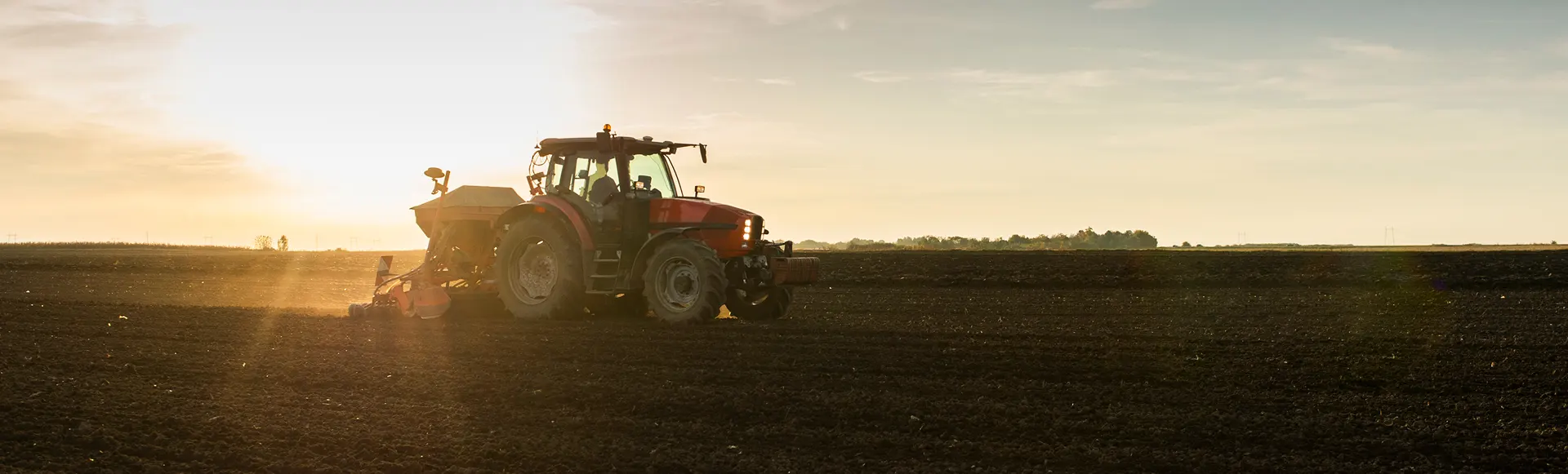 Siembra semillas con tractor